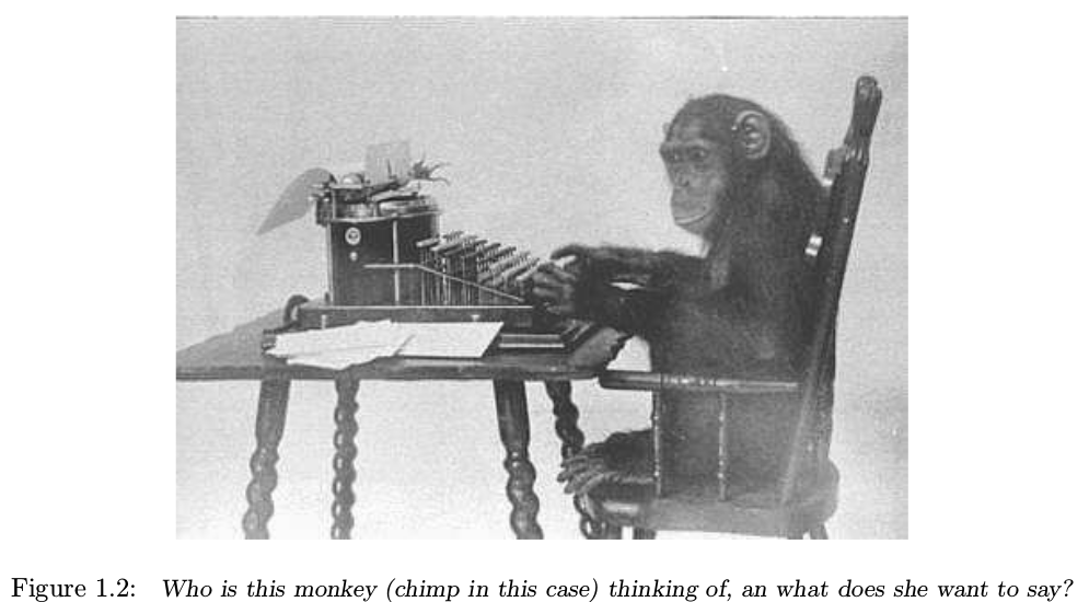 Chimp at the typewriter, what is she thinking?